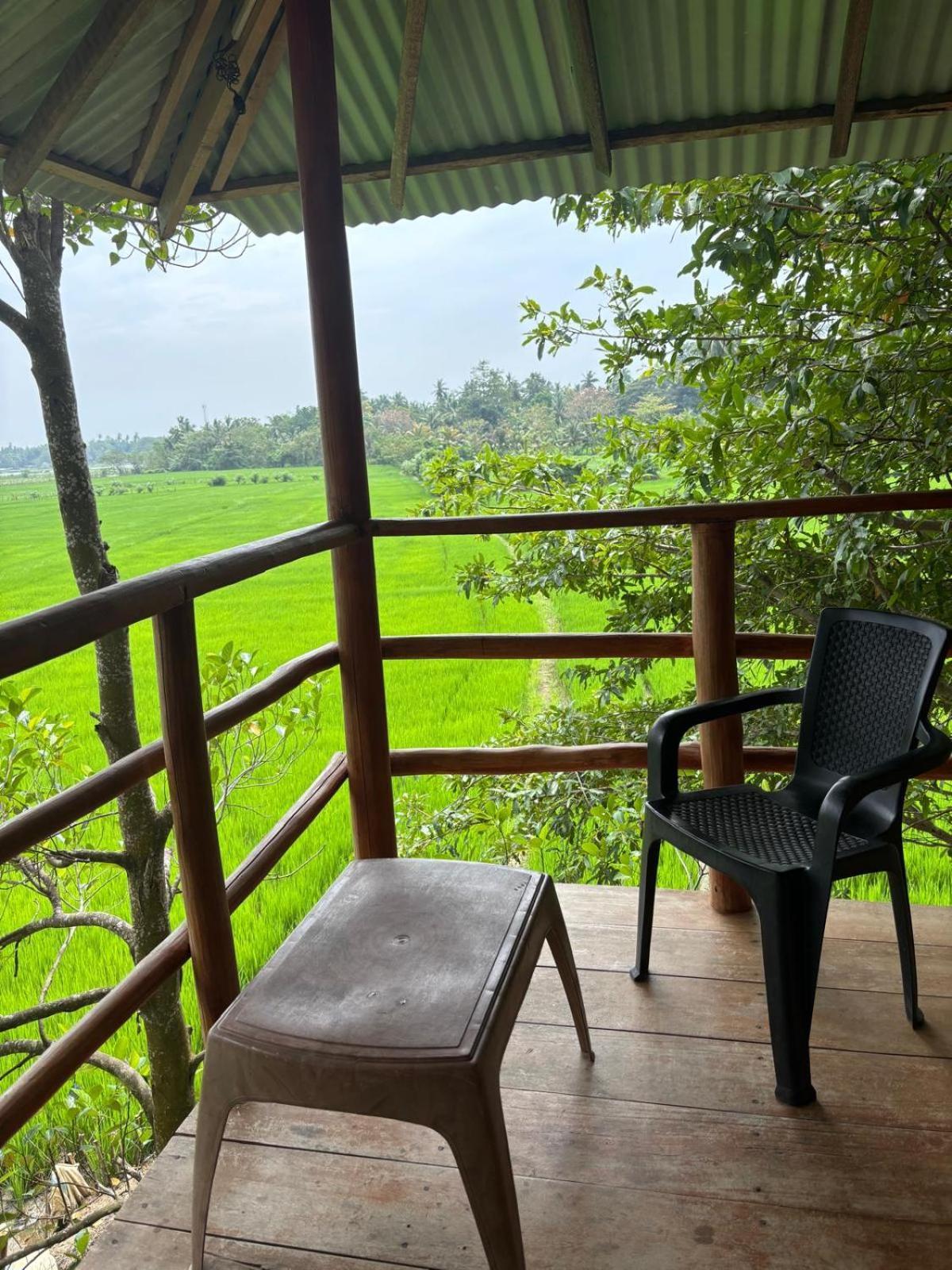 Lake Side View Cabana Tissamaharama Dış mekan fotoğraf